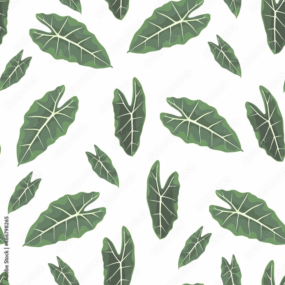 Floral seamless pattern, Alocasia  plant gren leaves, exotic plant on white background.