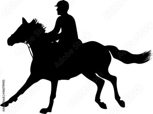 equestrian sports