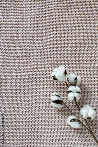 Wallpaper Mural A sprig of cotton on a textured background, a dusty pink blanket on bed, top view, close-up, copy space. Concept comfort, natural fabrics, interior details. Minimal style. For decorating stationery Torontodigital.ca