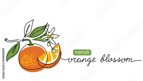 Orange blossom, neroli vector illustration. One continuous line art drawing of citrus flowers with lettering orange blossom photo