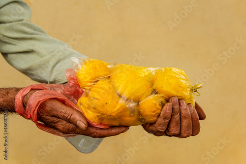 Mãos de vendedor ambulante de pequi. Pequi - fruto típico do cerrado goiano. Caryocar brasiliense.