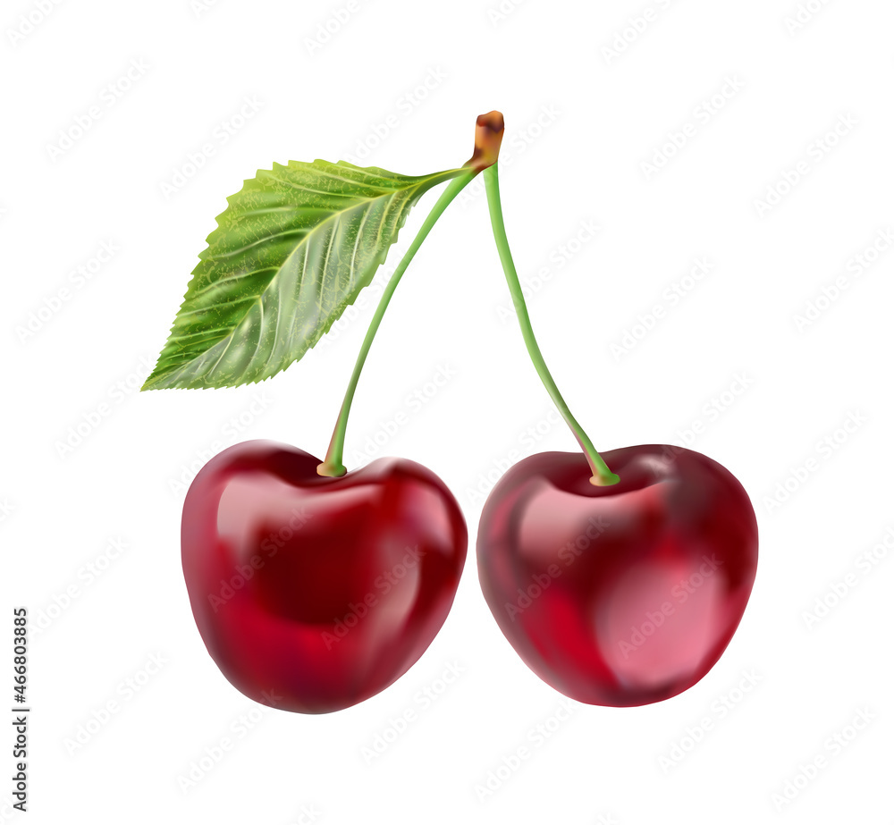 Realistic cherry with fresh leaves, red juicy on a white background for design. Realistic cherry with fresh leaves, red juicy on a white background for design.
