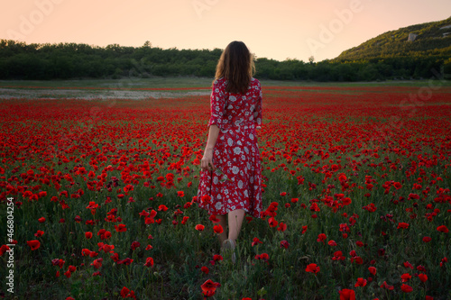 Beautiful young woman in a red poppy field dress. The concept of spring, summer, romance of feelings. A warm summer evening. The serenity of the sunset. The brunette is unrecognizable from the back