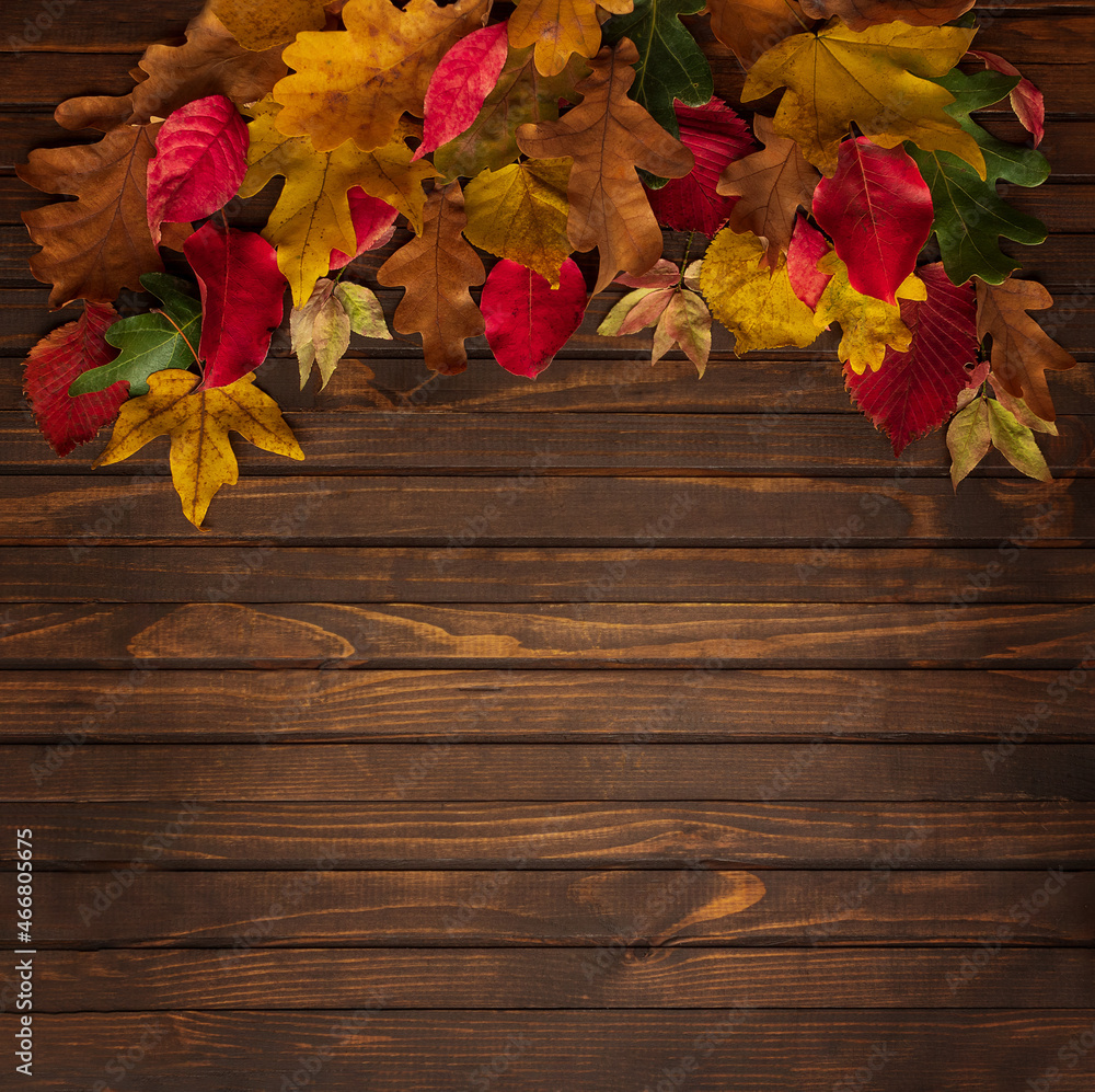 Obraz premium Autumn colorful leaves different trees on wooden background with copy space