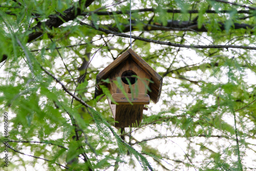 Birdhouse hanging between branches on the tree, a big wooden nest for birds in the forest, selective focus