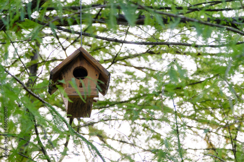 Birdhouse hanging between branches on the tree, a big wooden nest for birds in the forest, selective focus