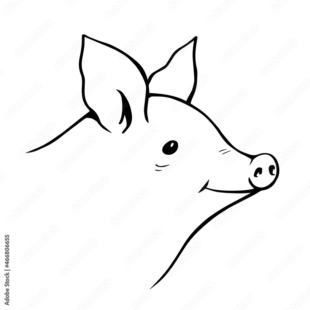 Obraz premium Pig head on a white background. Farming and pets. Food and meat. Cartoon illustration outline hand drawn