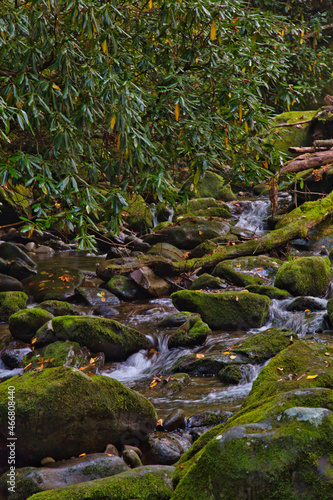 Great Smoky Mountains National Park photo