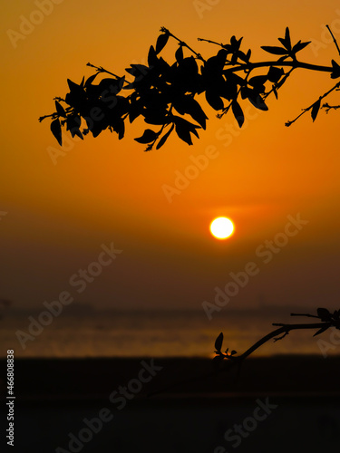 Blurred background of a summer sunset view on the sea and palm