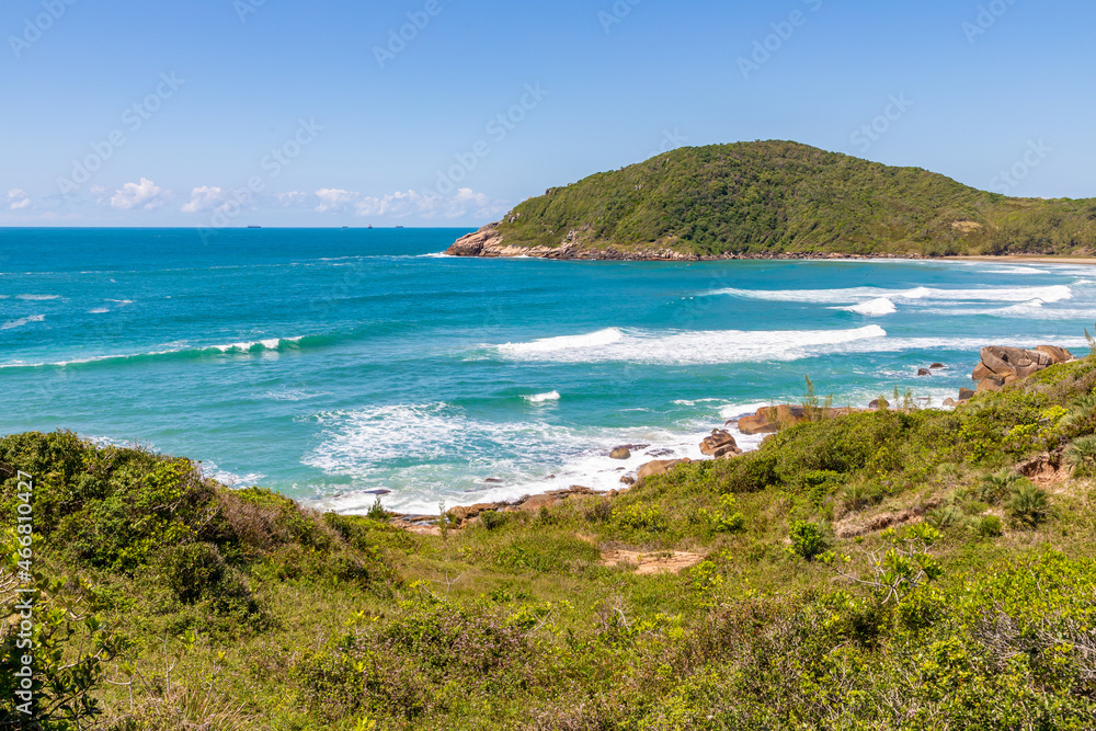 Beach view with waves and vegetation