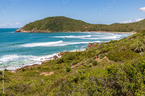 Beach view with waves and vegetation © lisandrotrarbach