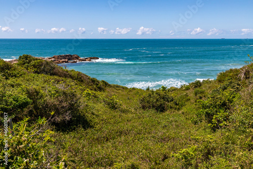 Beach view with waves and vegetation