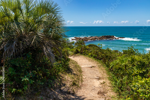 Trail to the beach with rocks and vegetation