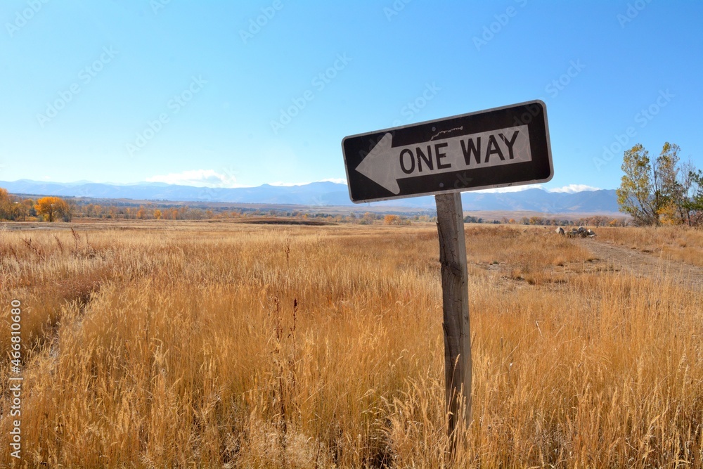 One Way traffic sign in autumn wild grasses with mountains in background One Way traffic sign in autumn wild grasses with mountains in background
