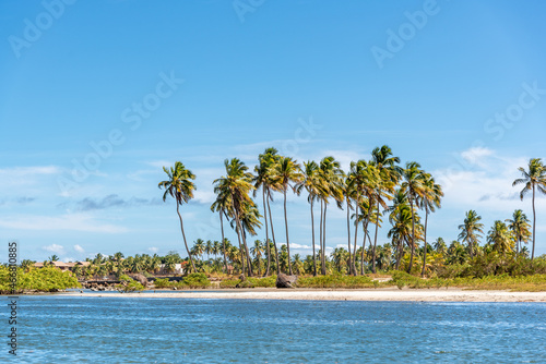 Vegetation by the coast