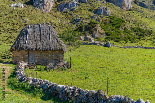 Traditional cabin with a broom roof , teito, in the town of Valle de Lago in Somiedo, Asturias. 