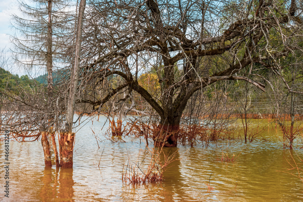 Obraz premium Contaminated Water, Polluted Nature
