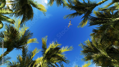 Palm Trees on Blue Sky Background. 3D Rendering. 