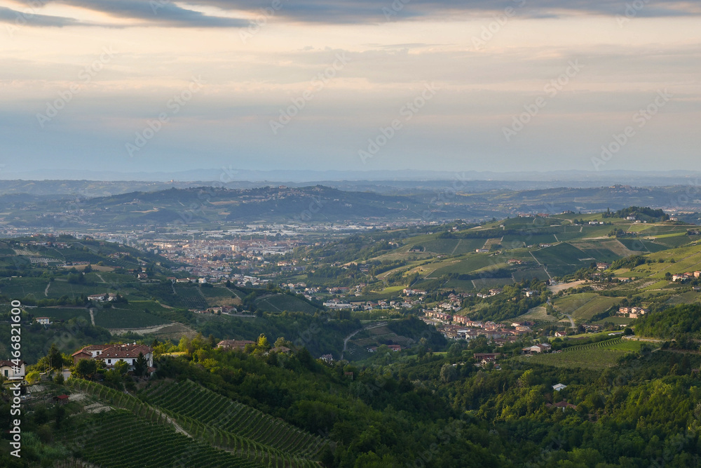 Elevated view of the city of Alba surrounded by the vineyard hills of the Langhe area, Unesco World Heritage Site, in summer at sunset, Cuneo, Piedmont, Italy