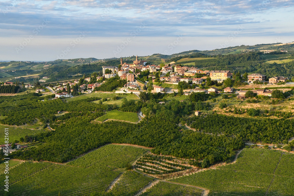 View of the small village of Rodello on the vineyard hills of the Langhe area, Unesco World Heritage Site, in summer at sunset, Cuneo province, Piedmont, Italy