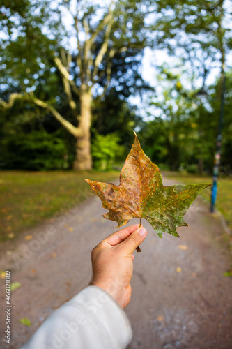 Woman holding an autumnal leaf against a blurred pathway in a park photo