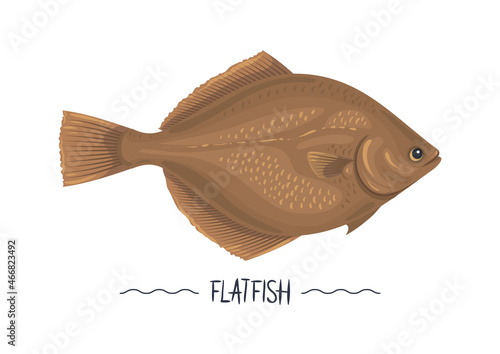 Flat fish cartoon vector icon, sign, simbol isolated on white. Flounder raw fresh vector illustartion, design element for label, packaging, menu