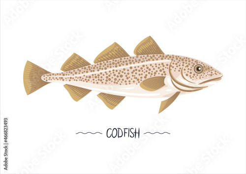 Codfish fresh raw cartoon vector icon, sign, simbol. Pasific, atlantic cod fish object, emblem. Isolated on white. Vector illustration, design element for package, label, print, menu