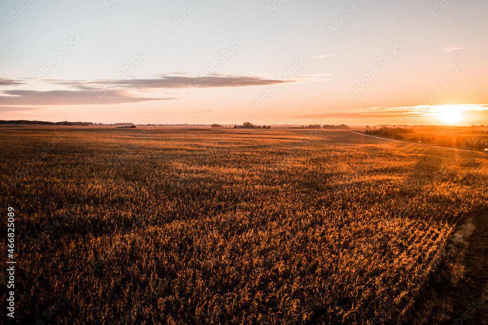 Aerial drone photo - Sunrise over a rural Sycamore Illinois cornfield.