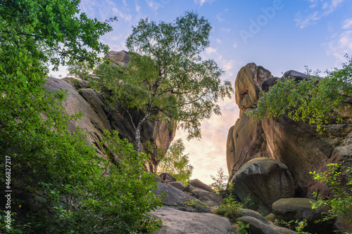 A huge, free-standing and denuded rock outcrop in the Prządki nature reserve, Podkarpackie Voivodeship, Poland