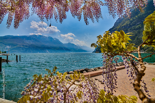 Fototapeta Naklejka Na Ścianę i Meble -  View of the beautiful Lake Garda surrounded by mountains,Riva del garda and Garda lake in the spring time,Trentino Alto Adige region