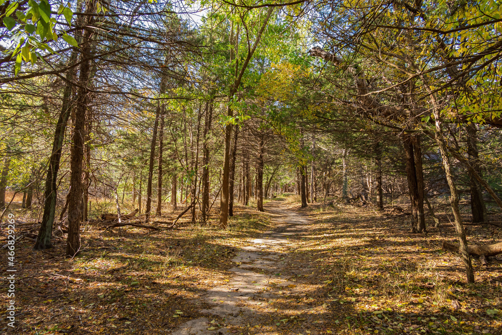 Fototapeta premium Sunny view of the landscape inside the Boiling Springs State Park