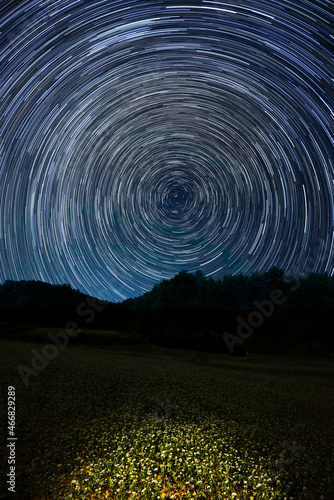 蕎麦畑と星空 フラッシュ一閃