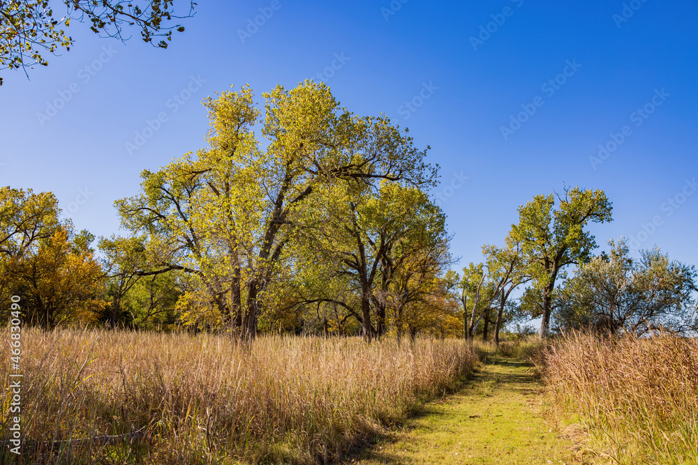 Autumn landscape of the Jet Recreation Nature Trail Autumn landscape of the Jet Recreation Nature Trail