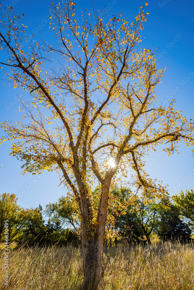 Autumn landscape of the Jet Recreation Nature Trail