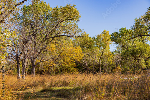 Autumn landscape of the Jet Recreation Nature Trail