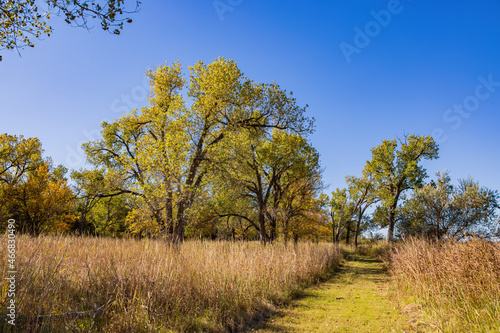 Autumn landscape of the Jet Recreation Nature Trail