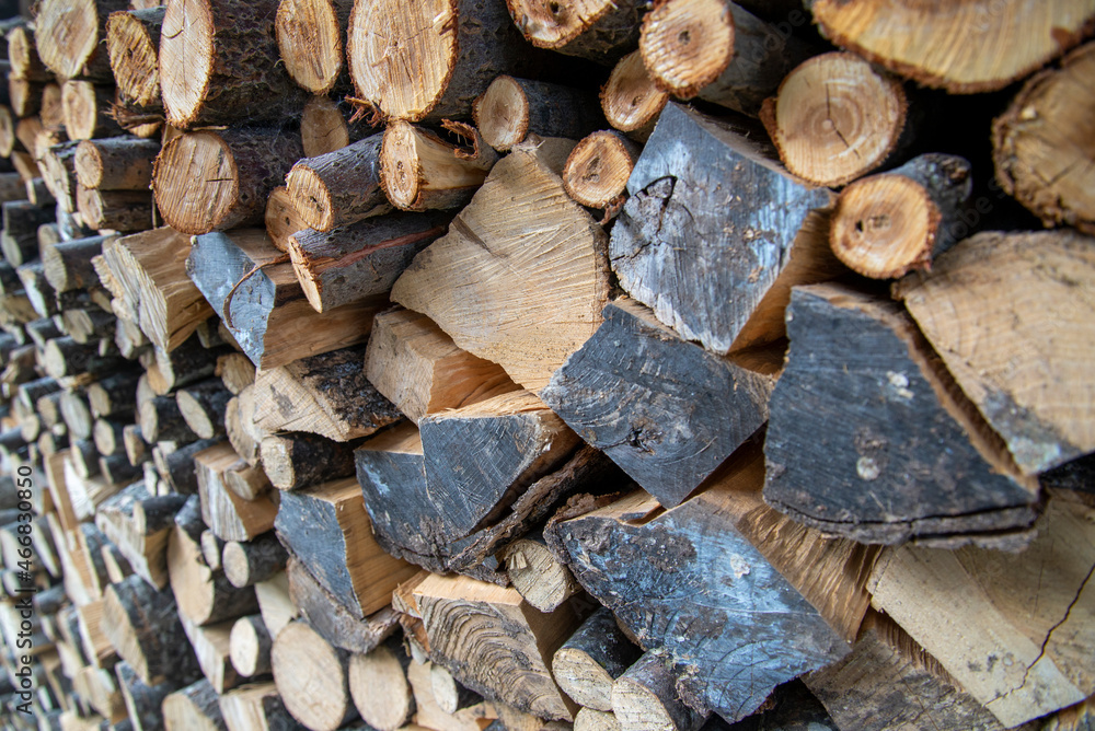 Wooden logs piled up into a stack,in the countryside of Durmitor,Montenegro. Wooden logs piled up into a stack,in the countryside of Durmitor,Montenegro.
