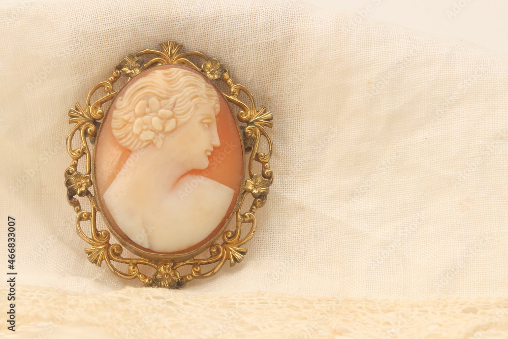 broche camée antique profil de femme ; fond coquillage nacrée broche camée antique profil de femme ; fond coquillage nacrée