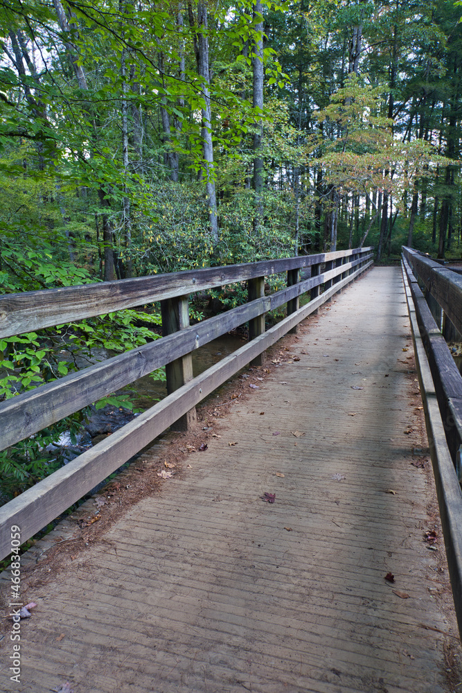 The Great Smoky Mountains National Park The Great Smoky Mountains National Park