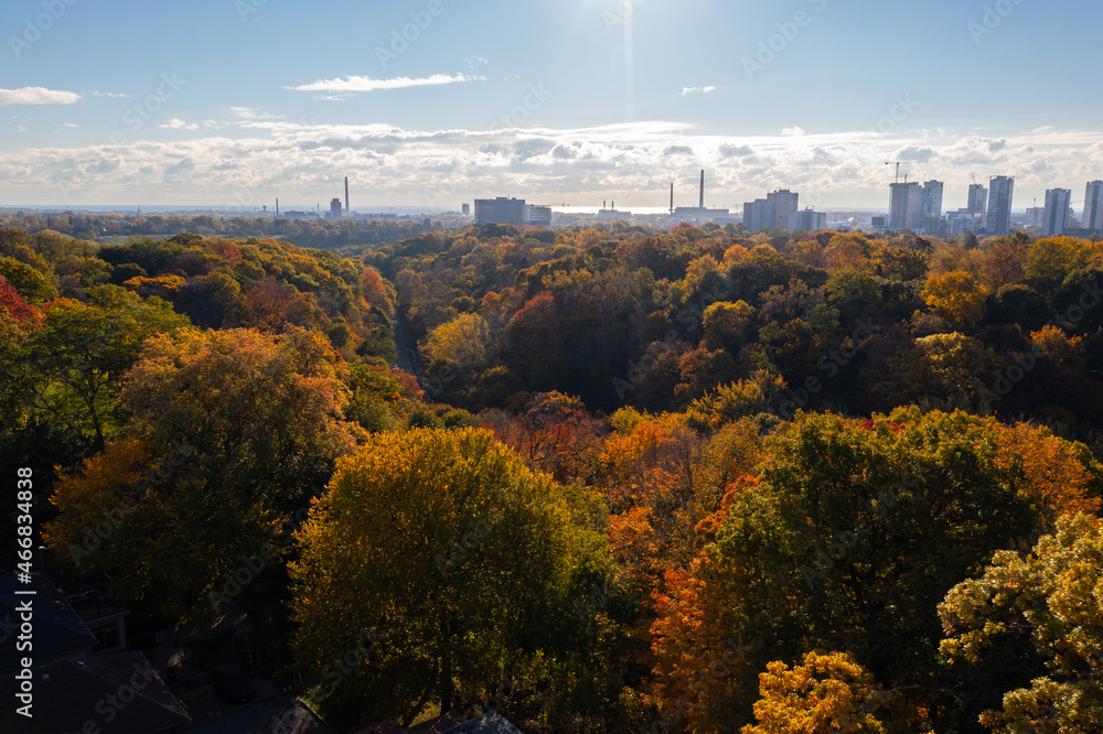  Drone Toronto fall treetops the city view clouds and sun 