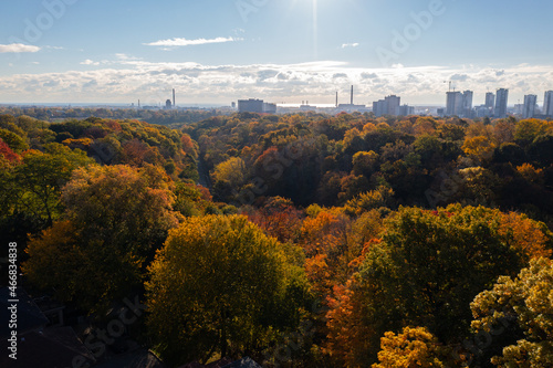  Drone Toronto fall treetops the city view clouds and sun  © contentzilla