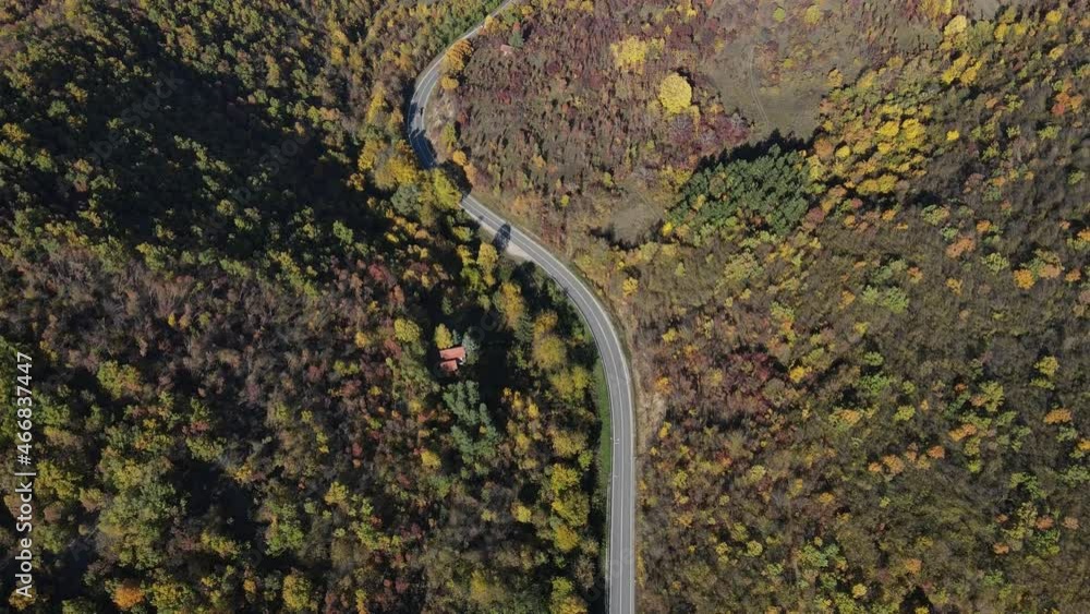 Top down aerial view drone image on the road trough the trees and forest in mountain range in autumn day - Tresibaba Knjazevac Mountain in Serbia - Travel journey and vacation concept car driving Top down aerial view drone image on the road trough the trees and forest in mountain range in autumn day - Tresibaba Knjazevac Mountain in Serbia - Travel journey and vacation concept car driving