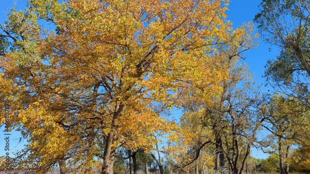 Autumn landscape of the Jet Recreation Nature Trail Autumn landscape of the Jet Recreation Nature Trail