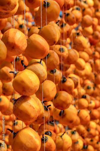 Diospyros kaki fruit or Persimmons are exposed to the sun and natural wind li...