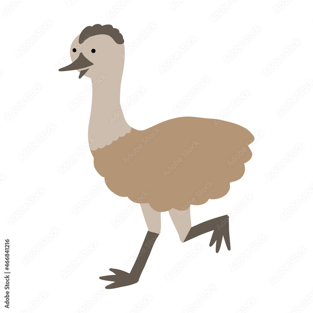 エミュー ダチョウ のイラスト Stock Vector Adobe Stock エミュー ダチョウ のイラスト Stock Vector Adobe Stock