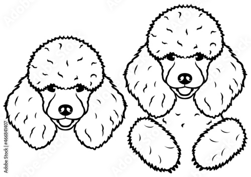 cute poodle head and peeking line art design
