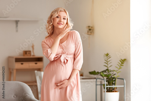 Young pregnant woman at hom...