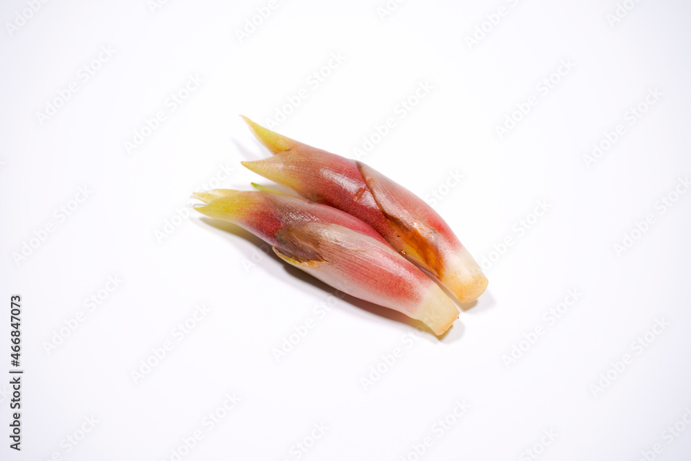 みょうが みょうが