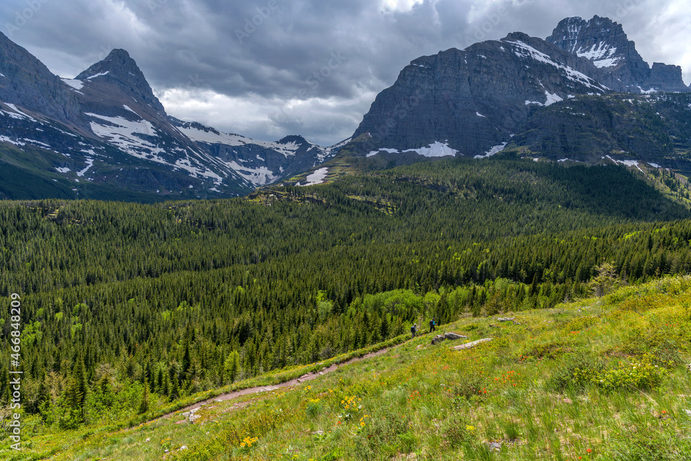 Spring Trail - A wide-angle Spring view of Iceberg Ptarmigan Trail winding along Swiftcurrent Valley, with Mt. Grinnell and Mt. Wilbur towering above.  Many Glacier, Glacier National Park, MT, USA.