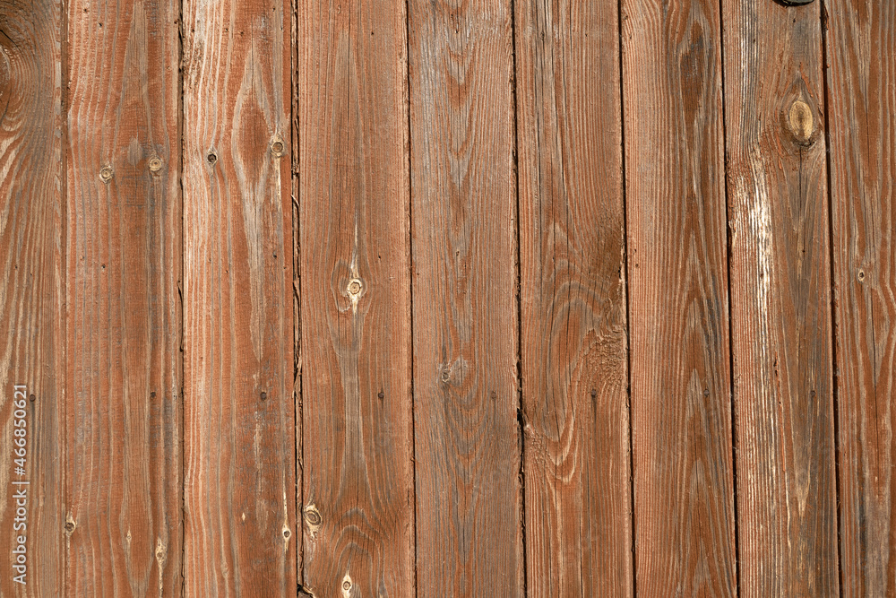 Fototapeta premium Texture of old wood plank use for background, wood texture.
